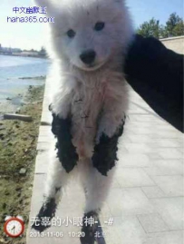我保证以后再也不带你出来玩
