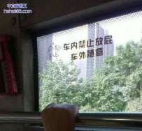 卖萌的公交车