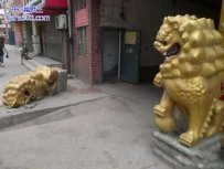 狮子兄不要偷懒啊
