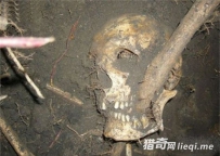 男子野外意外挖出头骨 没想到真相居然是.......