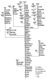 西服有哪些工序？贵在哪里？