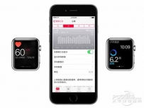 Apple Watch心率传感器的秘密