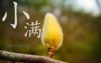 小满节气要预防哪些农事灾害
