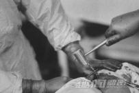 震撼世界!50年前苏联狗头移植照曝光