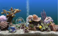 动态屏保哪个好？电脑屏保下载排行榜2017