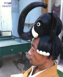大象再生