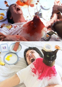 两个奇葩的铲屎官 一只有病的猫