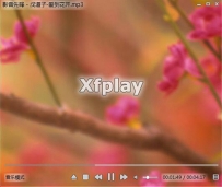 影音先锋播放器支持什么视频格式和音频格式？