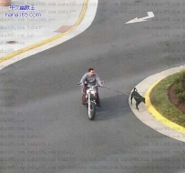 遛狗去了