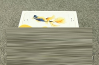 iPhone 6s Plus土豪金64G版开箱图赏