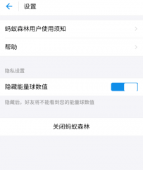 支付宝如何隐藏蚂蚁森林能量球数值