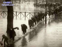 发洪水了