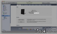 如何查找iPad序列号、UDID、IMEI、ICCID等符号信息