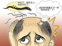 吃什么能防脱发呢