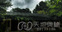 幽灵餐厅 “吸血鬼”坐台