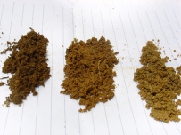 辨别土壤酸碱性的方法