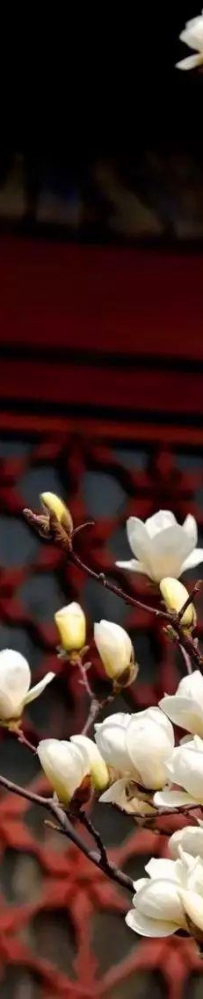 《易经》《道德经》《论语》：三个字，道破成功3要诀