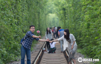 南京“爱情隧道”唯美风景走红网络