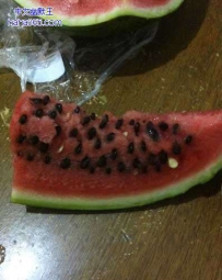这样的西瓜真让人抓狂
