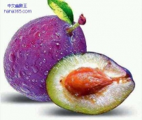 那些奇葩的水果（12张）