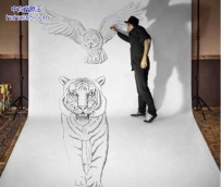 3D画牛人（12张）