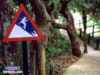 残疾人小心