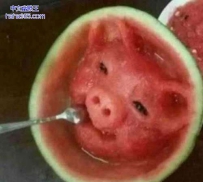 二师兄显灵了吗
