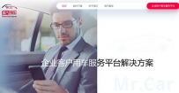 Mr. Car品牌与Mr. Car域名