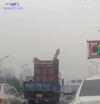 司机这样可以通过吗