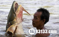 盘点世界十大凶猛淡水鱼