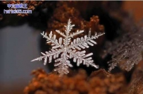 和雪花微距离（9张）