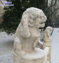 站完岗得洗头去