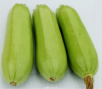 大棚西葫芦冲施什么肥好