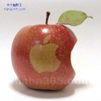 苹果牌苹果