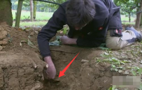 男子种树锄出一声闷响 凑近惊呆了