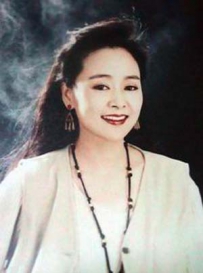 揭秘央视历届春晚美女主持 皆青春靓丽气质高贵