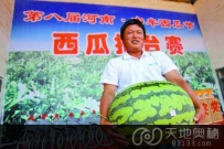 绝对震撼“西瓜王”对战“南瓜王”