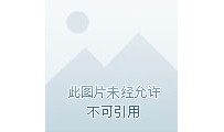 电视剧《小楼又东风》全集 剧情介绍 在线观看资源