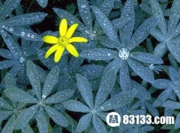 二十四节气-----白露有哪些风俗习惯