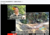 邢台云梦山惊现无头巨蟒
