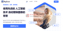 BgSub-功能强大的网页在线抠图神器