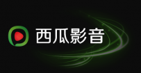 西瓜影音播放器是什么？