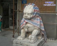 披上这披风更显威武了