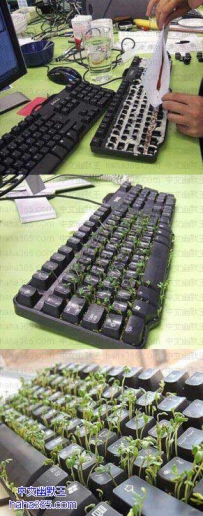 宅男的寂寞