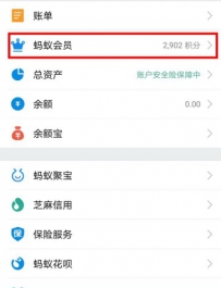支付宝蚂蚁会员怎么免费领取视频会员