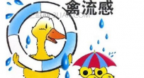 禽流感有哪些症状