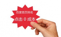 做整站优化最重要的三点