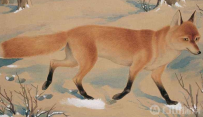 东北乡村古老传说 你听说过几个？