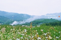 小满时节农事特点
