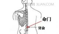 常按哪些穴位能够壮阳